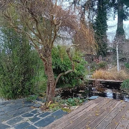 Appartement Domizil *