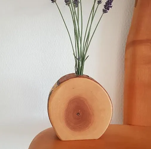 Domizil קובלנץ