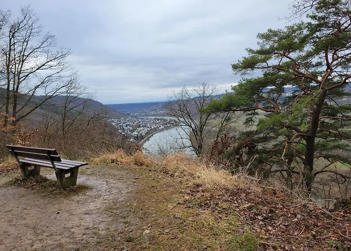 Domizil דירה קובלנץ